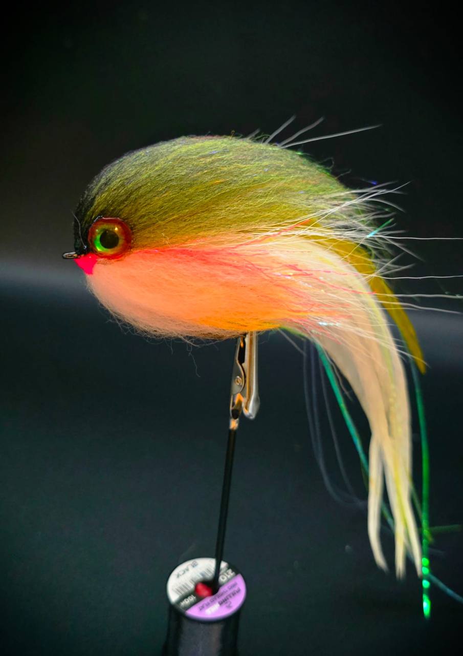 A pike fly with barred flanks